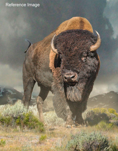 Dustin Van Wechel: Painting Dynamic Wildlife