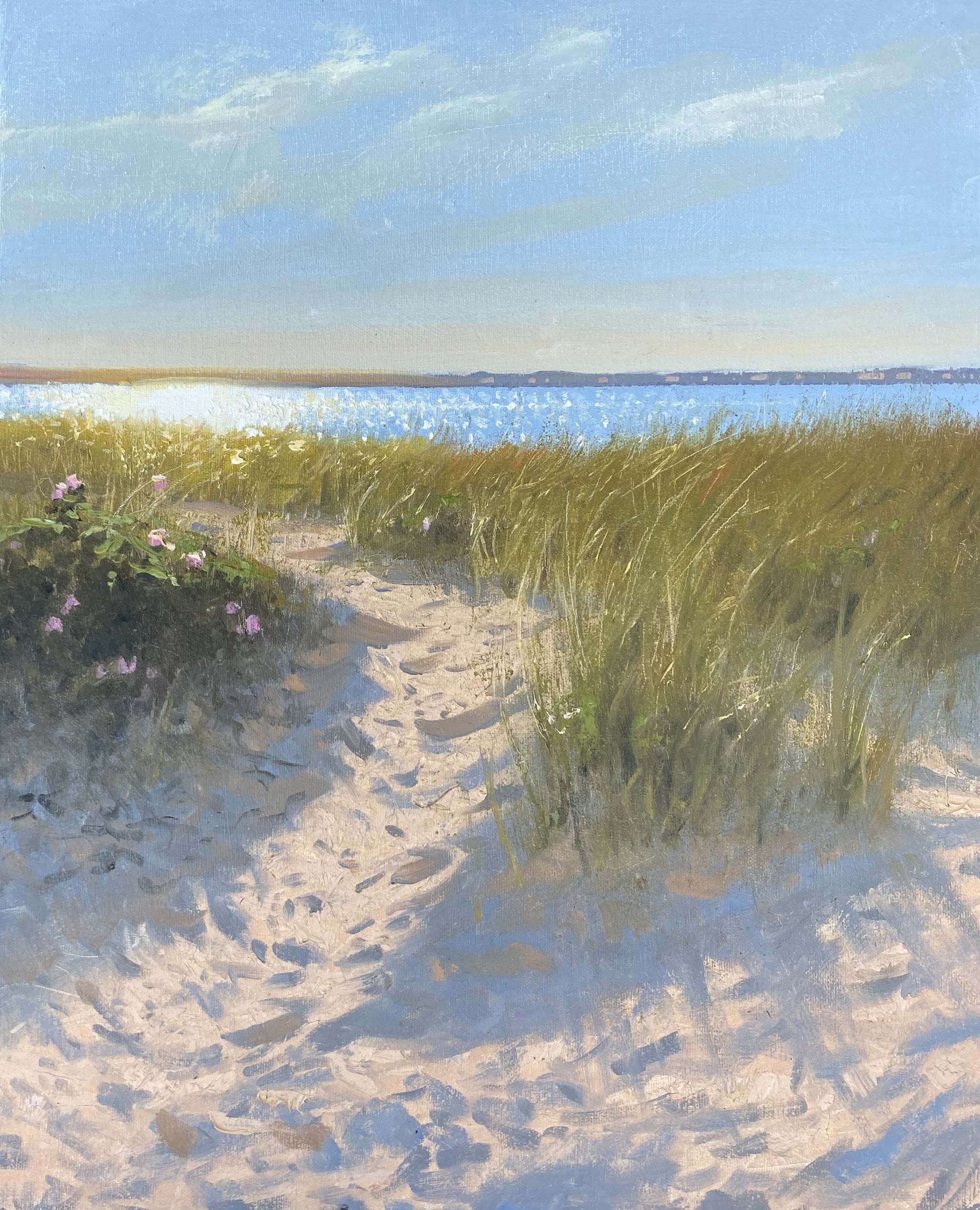 Mark Shasha Bundle