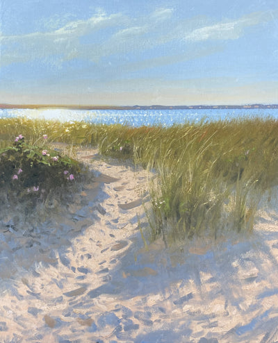 Mark Shasha Bundle