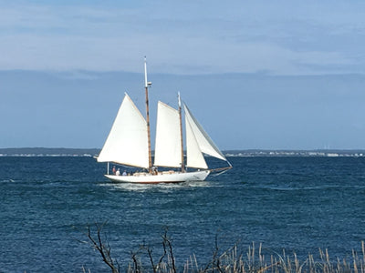 Mark Shasha: Painting the Golden Hour