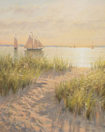 Mark Shasha Bundle