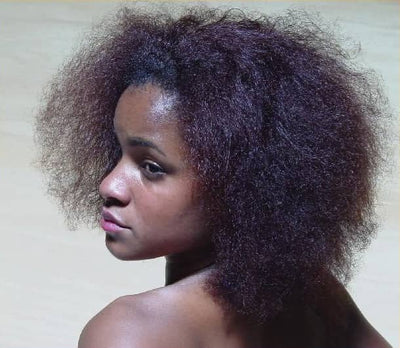 Zhaoming Wu: Drawing the Head in Charcoal